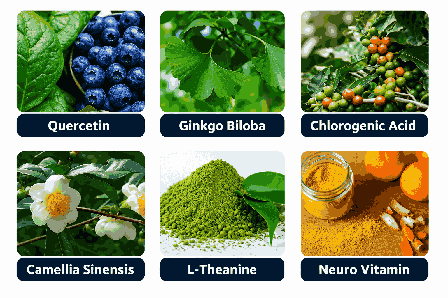 Java Brain Ingredients