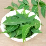 NeuroPrime-Neem